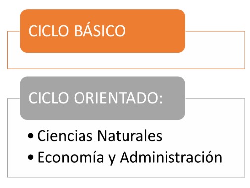 Ciclo Básico y Orientado